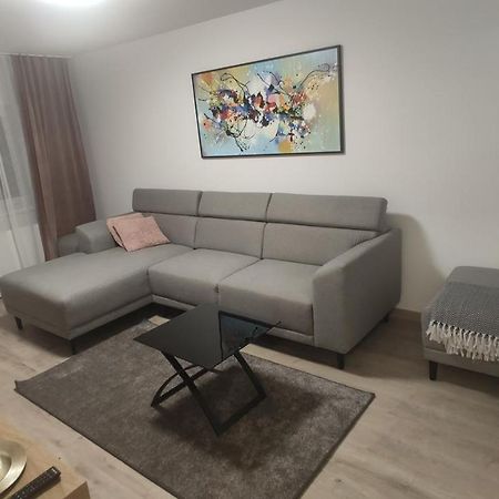 Popasu Din Oras Daire Baia Mare Dış mekan fotoğraf