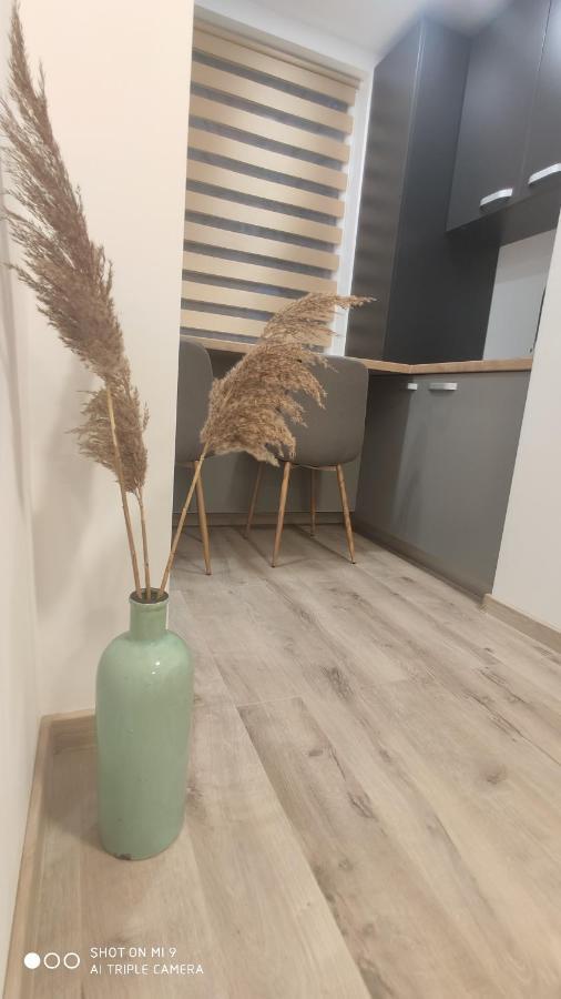 Popasu Din Oras Daire Baia Mare Dış mekan fotoğraf