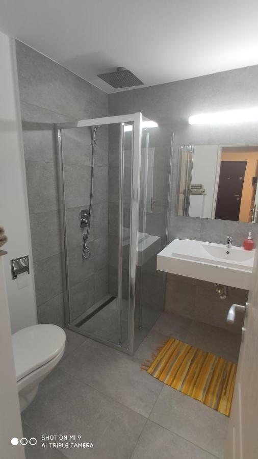 Popasu Din Oras Daire Baia Mare Dış mekan fotoğraf