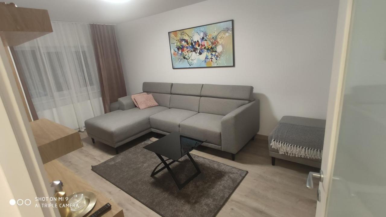 Popasu Din Oras Daire Baia Mare Dış mekan fotoğraf